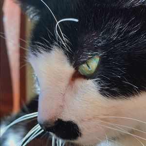 Meet your Posher, Esther